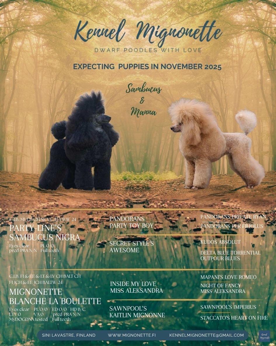 Expecting puppies in November 2025